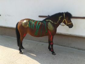 20130710_102845.jpg